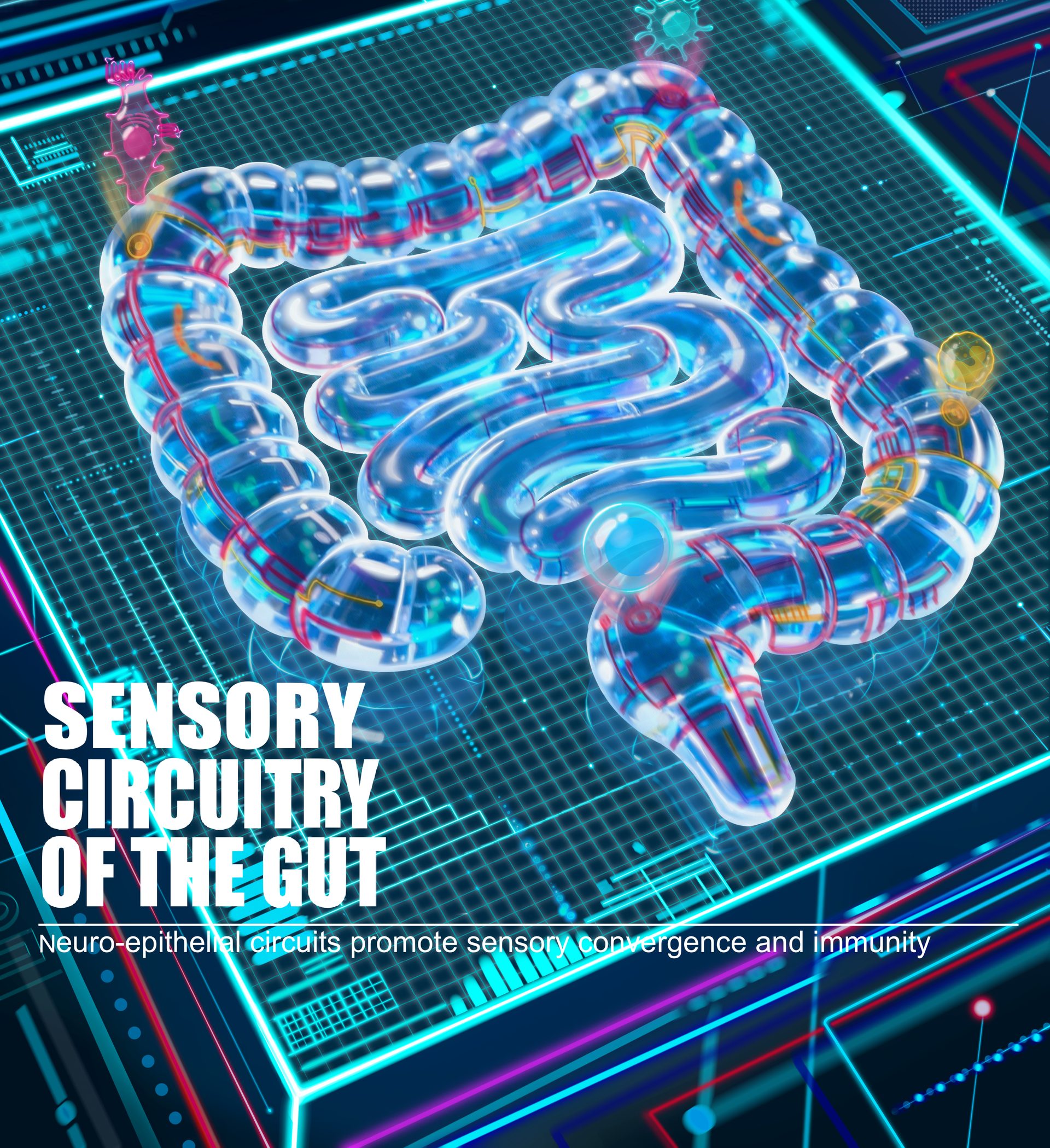 Sensory convergence framework
